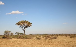 changement climatique Afrique
