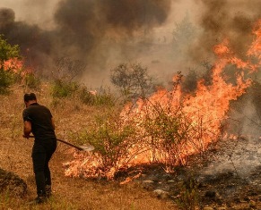 incendies en Algérie